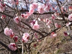横浜市の工務店房のブログ　もうすぐ春