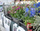 お花のマルシェとナチュラルリース教室と、耐火実験?!