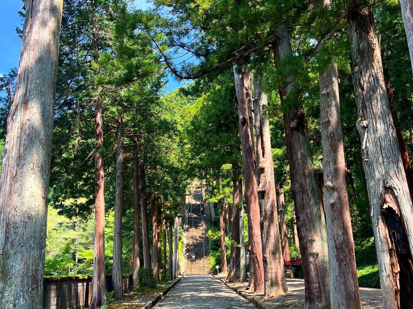横浜市の工務店房のブログ　身延山久遠寺の「菩提梯」と家づくり