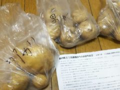 横浜市の工務店房のブログ　美味しいジャガイモ