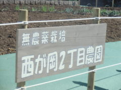 横浜市の工務店房のブログ　泉区に無農薬農園が誕生します。